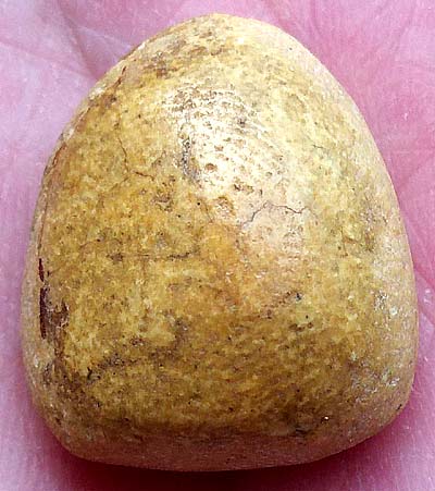 *พระผงน้ำมัน พิมพ์หลวงพ่อโต กรุวัดอัมพวา บางกอกน้อย กรุงเทพฯ*