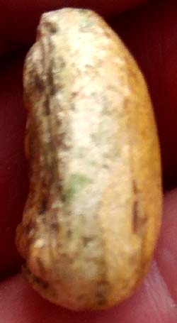 *พระผงน้ำมัน พิมพ์หลวงพ่อโต กรุวัดอัมพวา บางกอกน้อย กรุงเทพฯ*