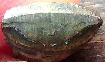 *พระชัยวัฒน์ หลวงพ่อโสธร ปี๒๕๐๕ เนื้อทองเหลือง*