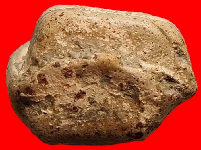 พระคงกรุเก่า ลำ่หนาหลังอูม ฟอร์มตรงสวย พระแท้ 1300 ปีเป็นอย่างน้อยหายากครับท่าน