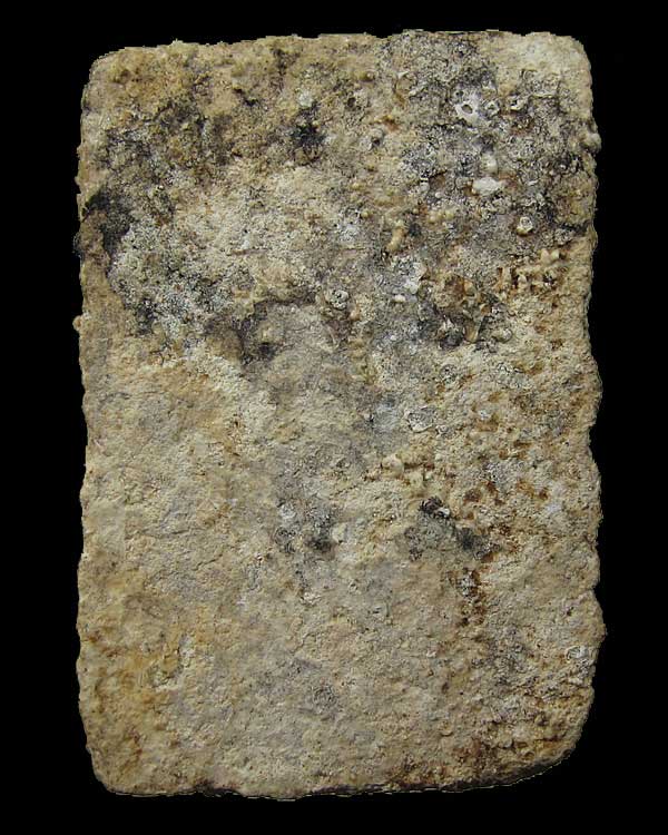 พระสมเด็จ 3 ชั้น พิมพ์หูบายศรี (ก้างปลา) แช่น้ำมนต์ หลวงปู่โต๊ะ วัดประดู่ฉิมพลี กทม. ปี 2468