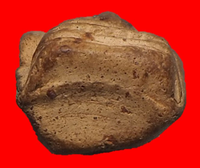 พระคงกรุเก่า พระยอดนิยมสกุลลำพูนฟอร์มตรงองค์ล่ำหนา ตำหนิชัดเจนพระปิ่นเดิมด้างขวาองค์พระ รับประกันแท้