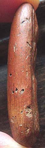 *ลีลากำแพงหย่อง เนื้อดินกำแพงเพชร*