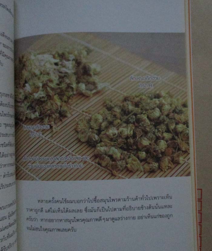 หนังสืออายุยืนหมื่นปี ด้วยสมุนไพรสไตล์โมเดิร์น