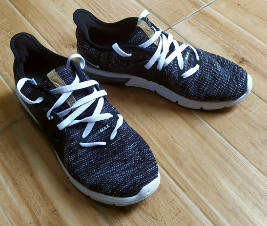 รองเท้า NIKE AIR MAX ของแท้ เบอร์41 สวยแจ่ม