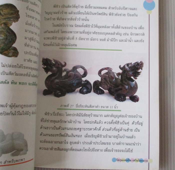 หนังสือ วัตถุมงคลจีน