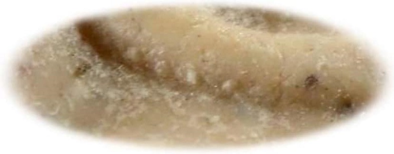 สมเด็จวัดระฆัง122ปี พิมพ์ใหญ่ 6จุด นิยมสุด พร้อมกล่องเดิม