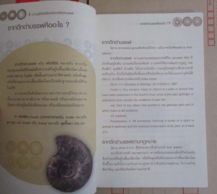 หนังสือ ซากดึกดำบรรพ์เบื้องต้น