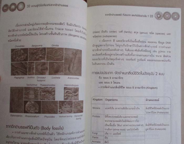 หนังสือ ซากดึกดำบรรพ์เบื้องต้น