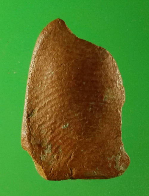 พระร่วงนั่ง กรุจระเข้ร้อง สุโขทัย