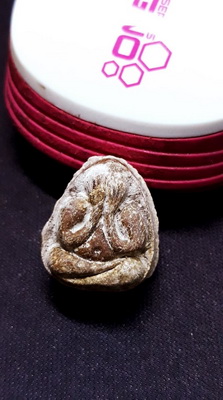 8.ปิดตามหาเสน่ห์ หลวงปู่โต๊ะ วัดลาดปลาเค้า ปี2521 เนื้อผงเกษร สีน้ำตาลอ่อนเข้ม สวยเดิมหนาครับ