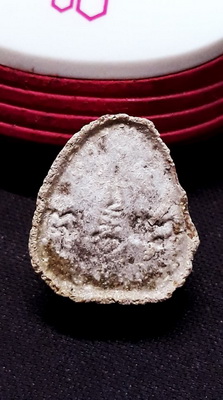 8.ปิดตามหาเสน่ห์ หลวงปู่โต๊ะ วัดลาดปลาเค้า ปี2521 เนื้อผงเกษร สีน้ำตาลอ่อนเข้ม สวยเดิมหนาครับ