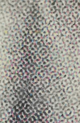 หลวงพ่อ​กวย​ วัด​โฆสิตา​ราม​   ปี​  58​