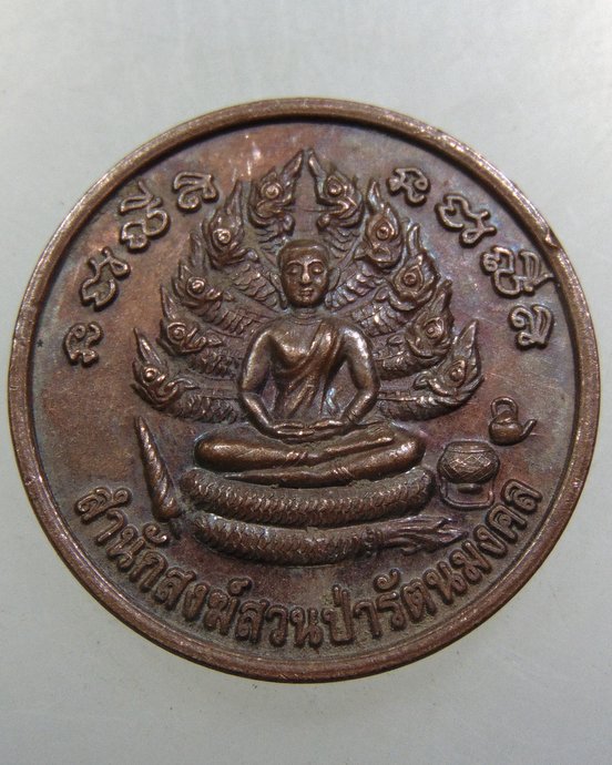 เหรียญสำนักสงฆ์สวนป่ารัตนมงคล มังกรทองหนองปรือ