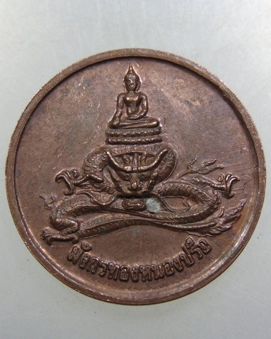 เหรียญสำนักสงฆ์สวนป่ารัตนมงคล มังกรทองหนองปรือ
