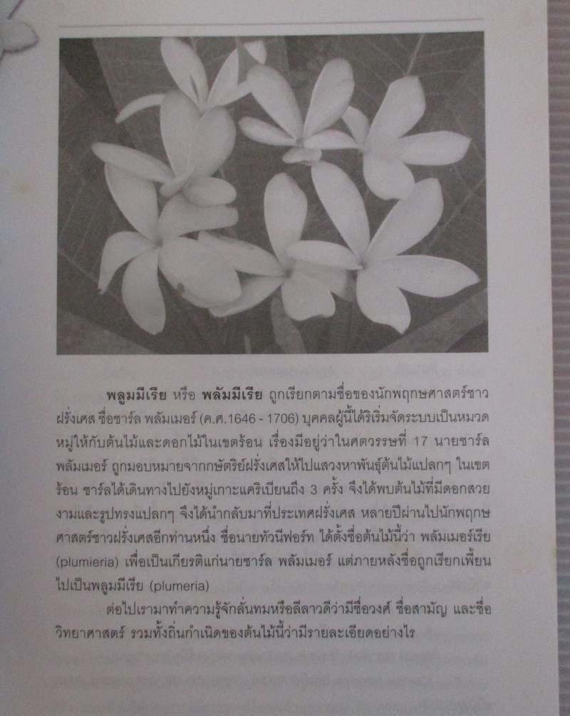 หนังสือ ลีลาวดีเงินล้าน