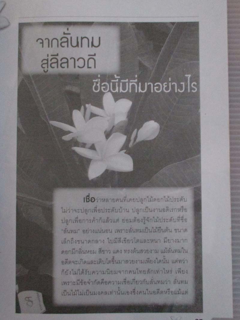 หนังสือ ลีลาวดีเงินล้าน