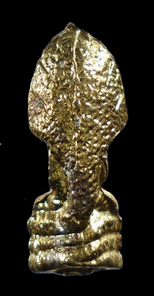 30บาท....พระนาคปรก ร่ำรวยเงินทอง///ก35