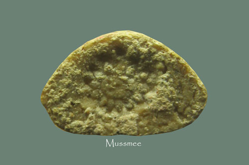 พระปิดตาผงมหาเสน๋ห์ ก้นดอกจันทร์ หลวงปู่จันทร์ วัดโฉลกหลำ สุดยอดเมตตา โชคลาภ 