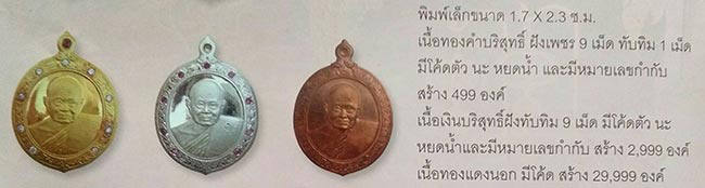 เหรียญยกช่อฟ้า เนื้อเงิน ฝังทับทิม หลวงปู่ทิม วัดพระขาว อยุธยา