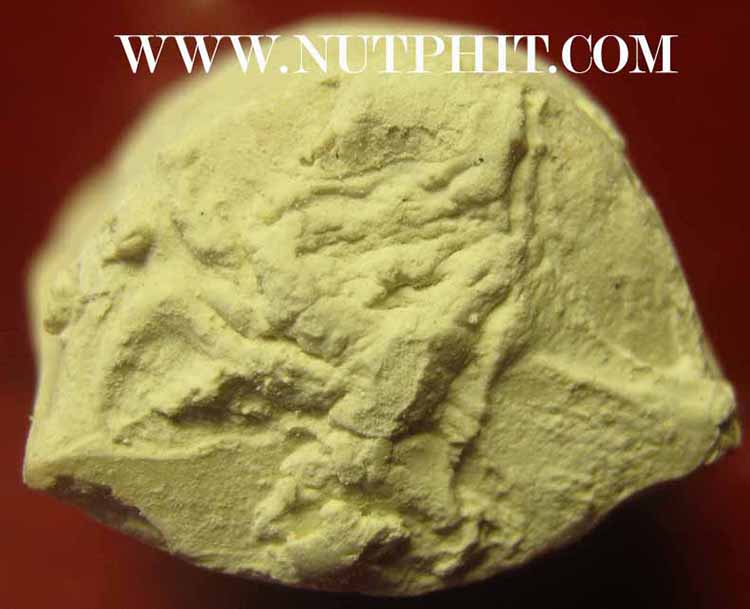 นิ้วหลวงพ่อคูณในราคาพิเศษครับ*125