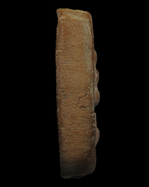 พระเครื่องหลวงพ่อปาน พิมพ์ไก่เบรค วัดบางนมโค จ.อยุธยา (หลวงพ่อฤาษีลิงดำ ปลุกเสก)