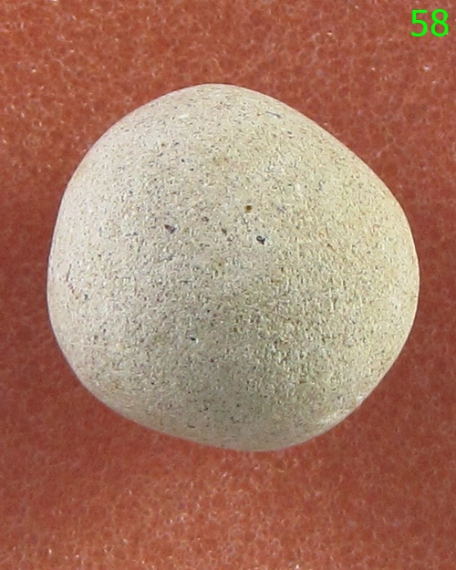 ลูกอมมหาเสน่ห์ หลวงพ่อสงวนวัดไผ่พันมือ