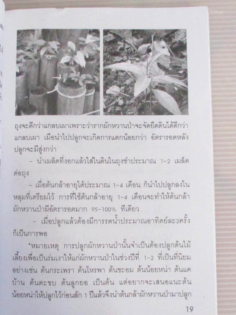  	 หนังสือเทคนิค การปลูกผักหวานและเพาะเห็ด