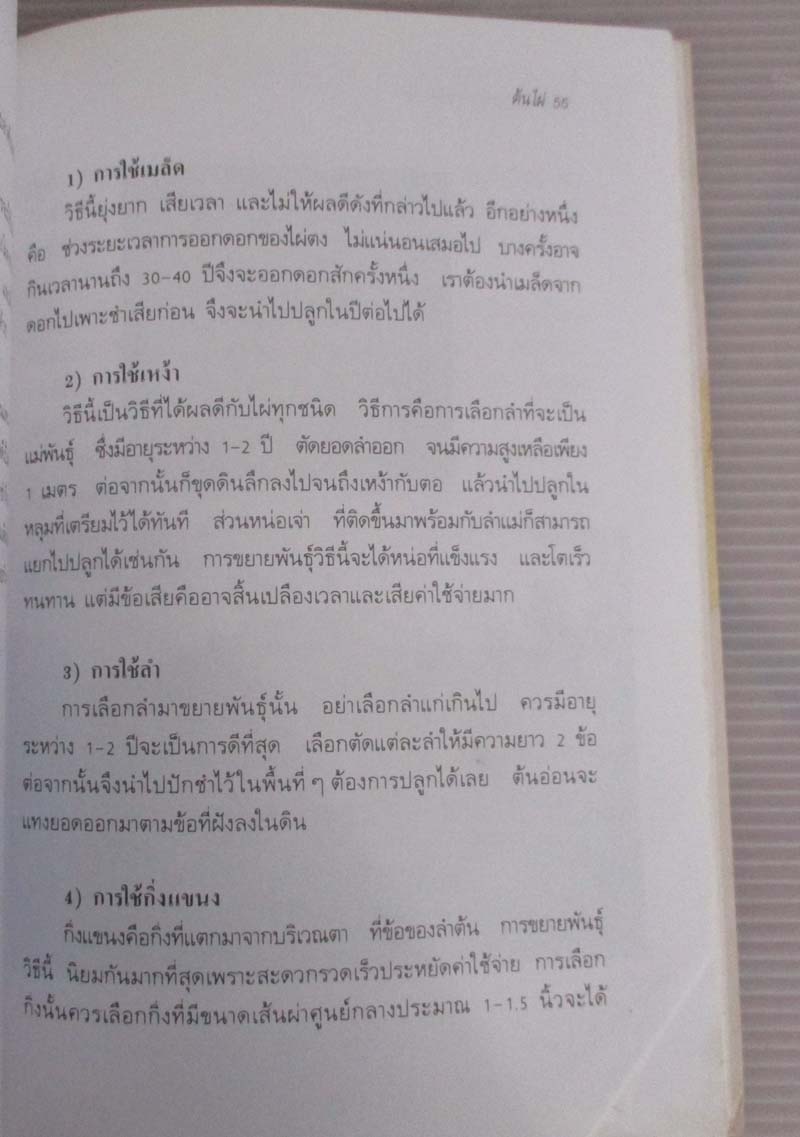  	 หนังสือ ต้นไผ่พืชพันธุ์มหัศจรรย์ของโลก