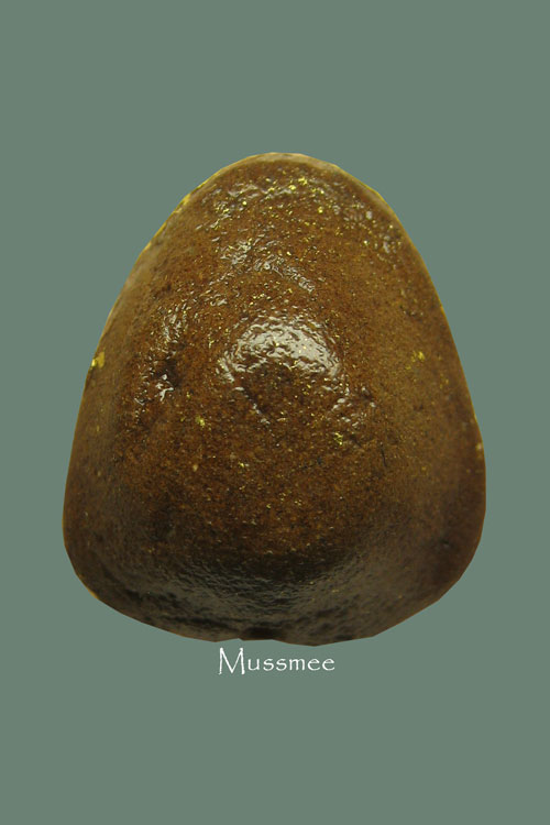 พระปิดตาหลวงพ่อบัวเกตุ วัดช่องลมนาเกลือ อ.บางละมุง จ.ชลบุรี ### เคาะเดียว ###