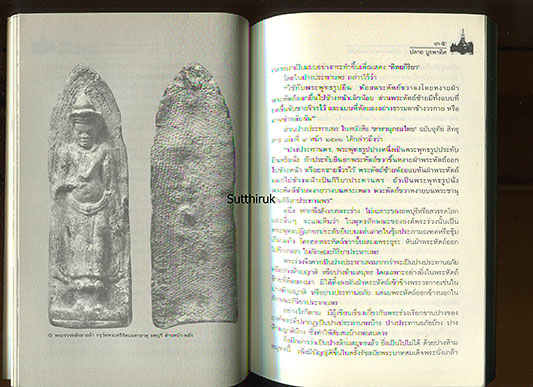 หนังสือ กรุพระแห่งสยาม เครื่องรางแห่งแผ่นดิน (พระกรุ เนื้อชิน)