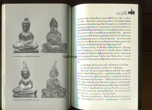 หนังสือ กรุพระแห่งสยาม เครื่องรางแห่งแผ่นดิน (พระกรุ เนื้อชิน)
