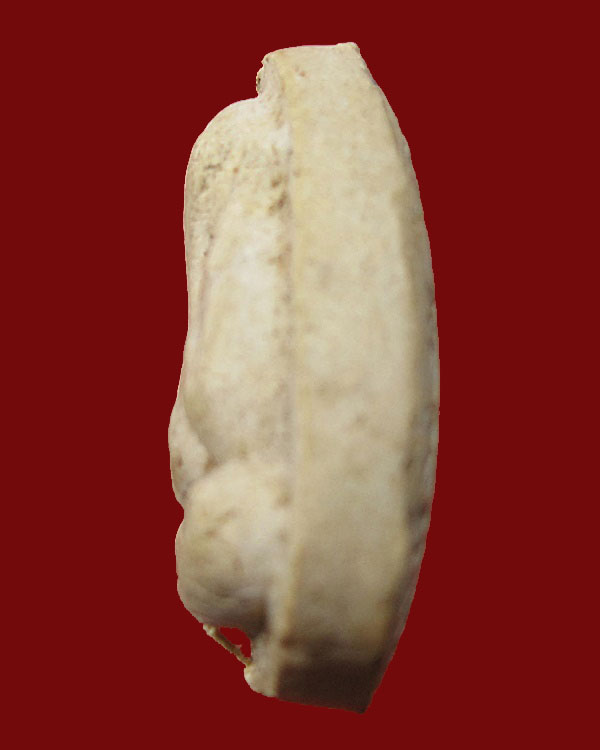 พระปิดตาหลังยันต์นะ หลวงปู่โต๊ะ วัดประดู่ฉิมพลี รุ่น 108 ปี พ.ศ.2538 เนื้อเกสร