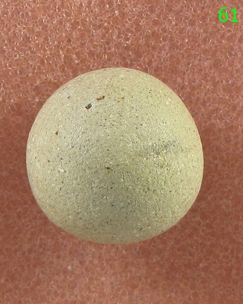 ลูกอมมหาเสน่ห์ หลวงพ่อสงวนวัดไผ่พันมือ