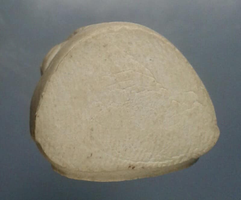 พระหลวงปู่ทวดเนื้อผง ลอยองค์ ไม่ทราบวัดสร้าง  เคาะเดียวครับ