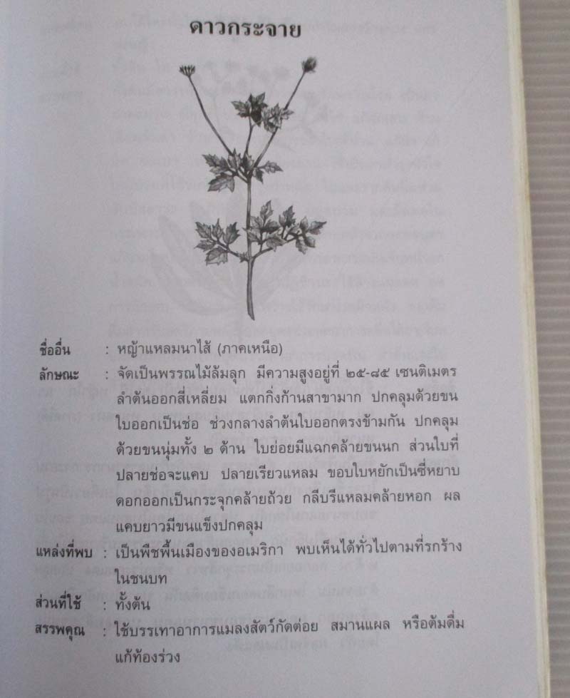  	 หนังสือสมุนไพรสำคัญที่ควรรู้