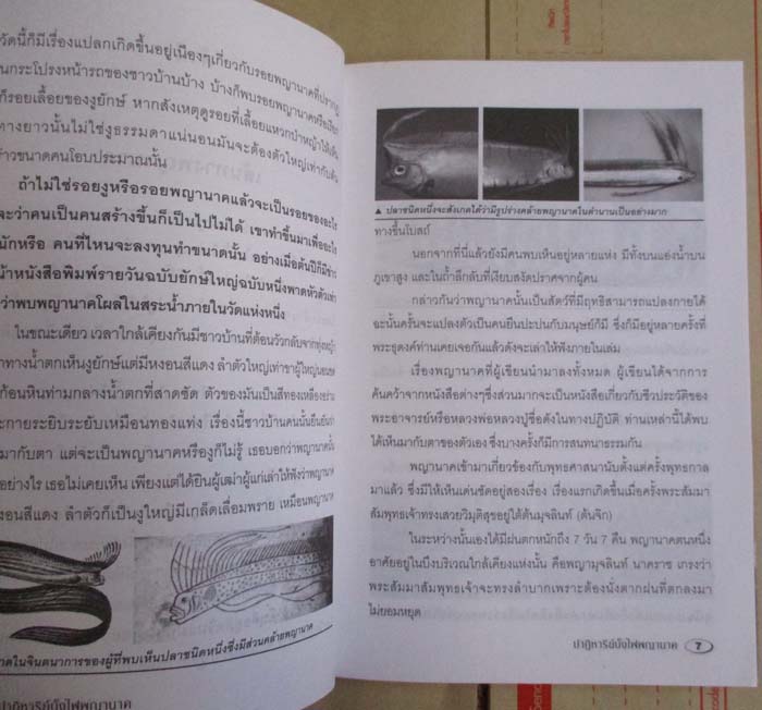  หนังสือ ปาฏิหาริย์บั้งไฟพญานาค