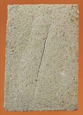 สมเด็จคราบปลวก วัดไชโย  ปี51