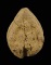 เคาะเดียว..พระผงกลีบบัว พระครูใบฎีกาเกลี้ยง วัดสุทัศน์ ปี 2475...W43