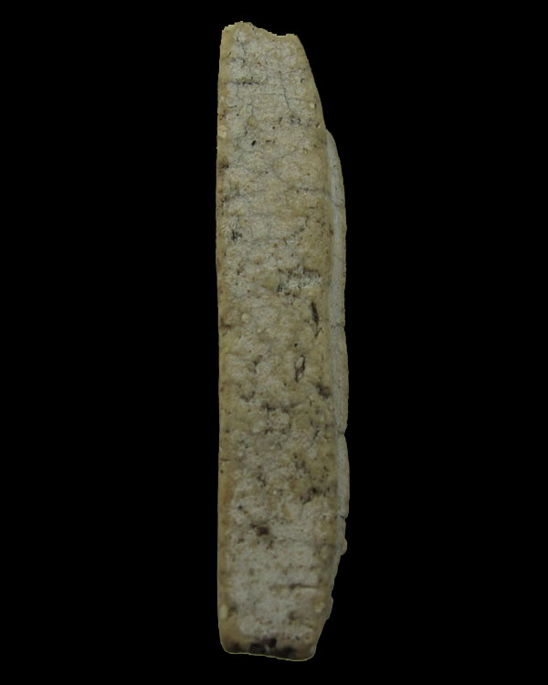 พระสมเด็จหลังตราแผ่นดิน หลวงปู่นาค วัดระฆังฯ กทม.