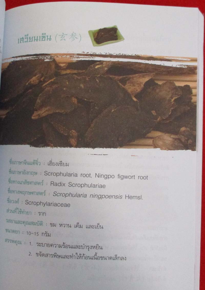  หนังสือยาจีน ปรับสมดุลหยินหยาง