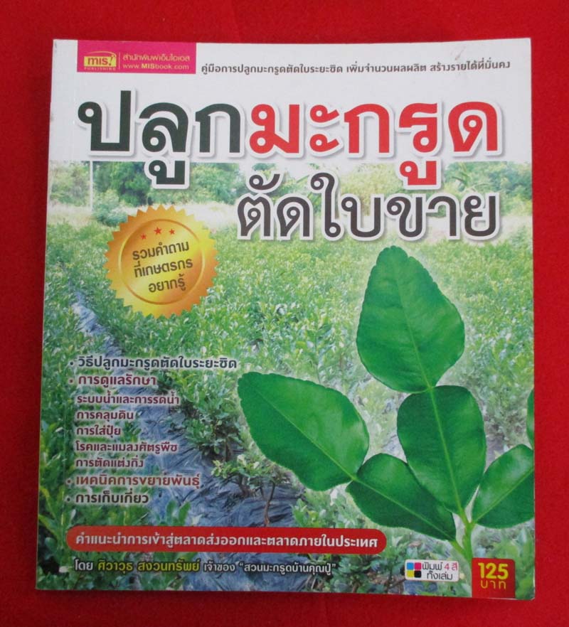  	 หนังสือ ปลูกมะกรูดตัดใบขาย