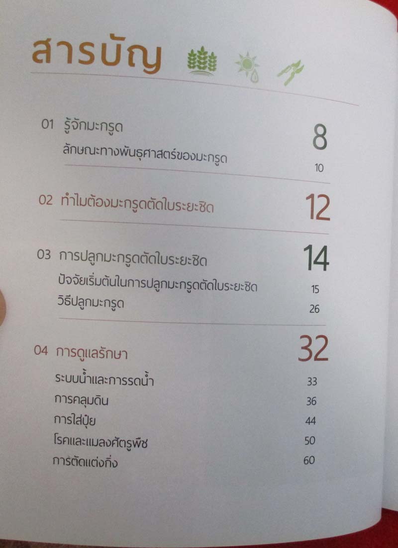  	 หนังสือ ปลูกมะกรูดตัดใบขาย