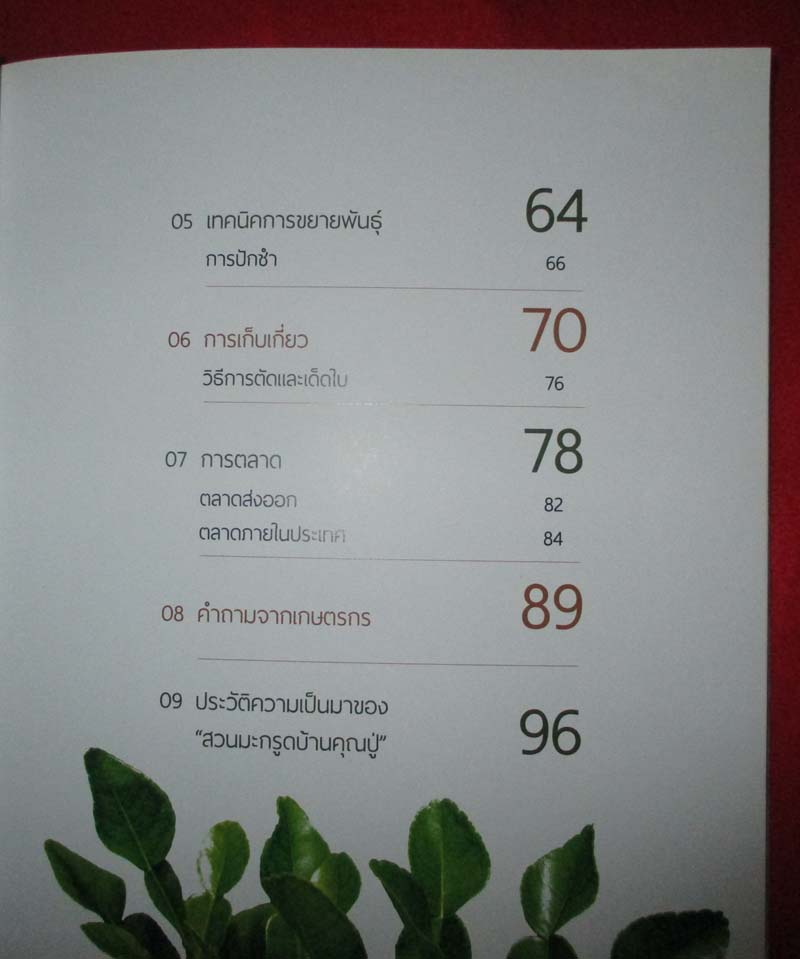  	 หนังสือ ปลูกมะกรูดตัดใบขาย
