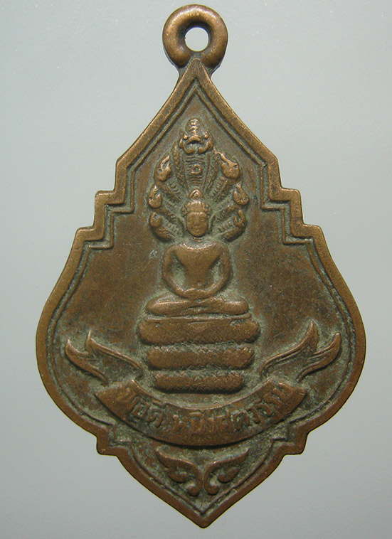 เหรียญนาคปรก หลวงปู่บุดดา ถาวโร วัดกลางชูศรีฯ หนึ่งศตวรรษ ปี2536 d14