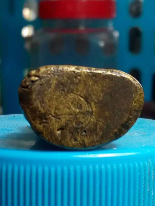 หลวงพ่อเงิน ฟ้าคำรณ 