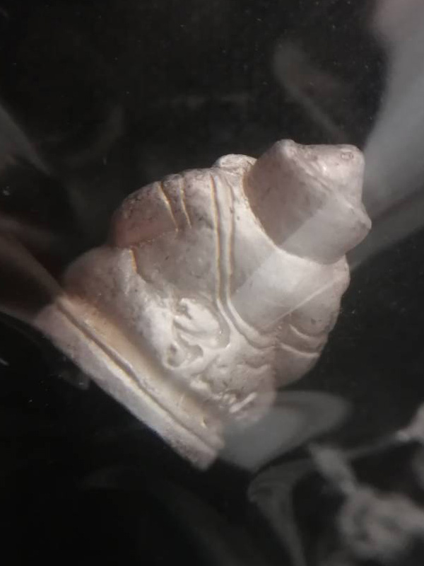 พระพิฆเนศ โบสถ์พรหมณ์เทวสถาน เนื้อเงิน ขนาดเล็ก กล่องเดิม