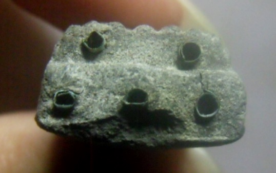 **วัดใจ**หลวงปู่ทวดเนื้อว่านหลังเจดีย์ กรรมการ ฝังตะกรุด 5 ดอก อาจารย์นอง วัดทรายขาว ปี ๒๕๓๕** 