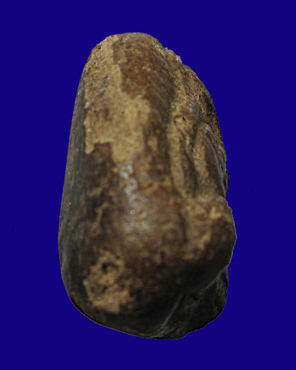 พระปิดตา อาจารย์เภา วัดบางกระสอบ จ.สมุทรปราการ