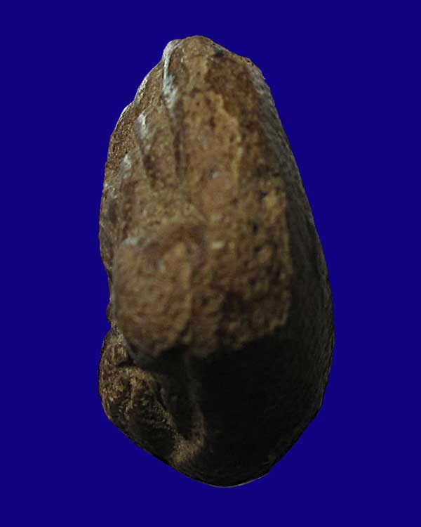 พระปิดตา อาจารย์เภา วัดบางกระสอบ จ.สมุทรปราการ